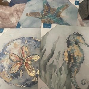 Small 12x12  pictures sea horse, Starfish, sea dollar $7.77